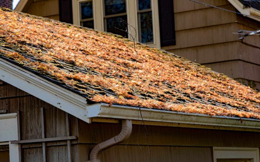 3 Steps to Get Your Ashtabula Roof Ready for Spring Weather