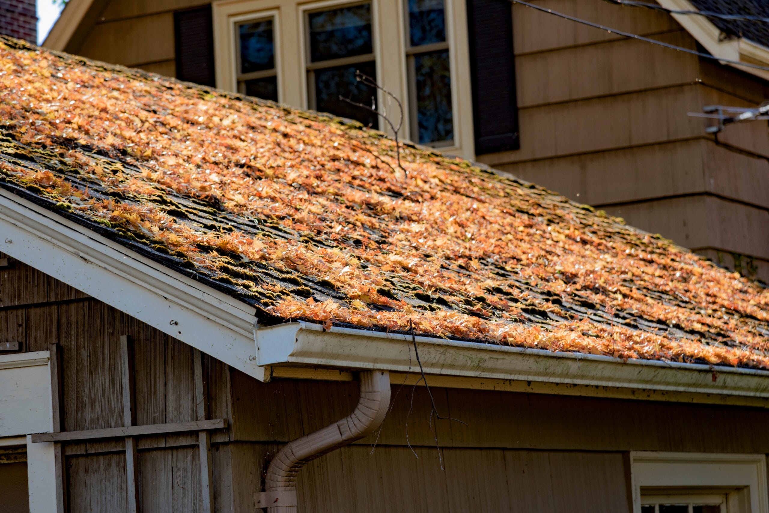 spring roof prep, spring roof maintenance, spring weather damage, Ashtabula