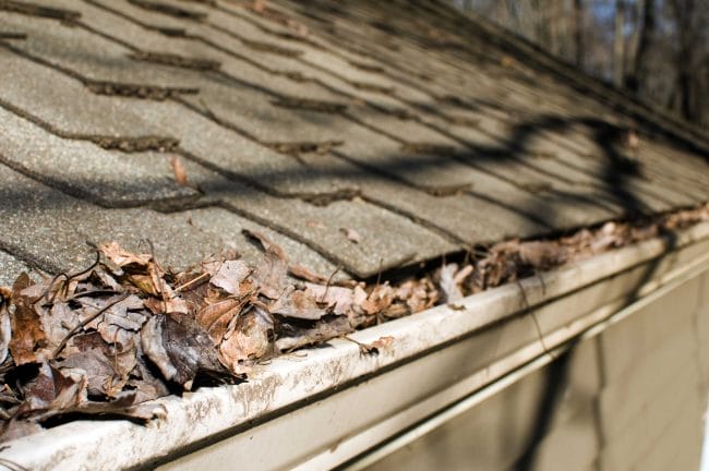 spring roof prep, spring roof maintenance, spring weather damage